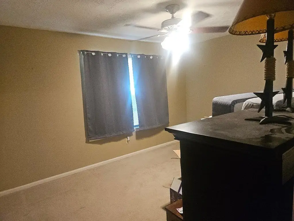 Picture 4