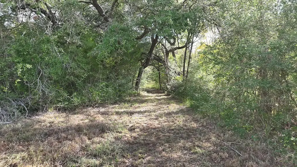 Picture 29