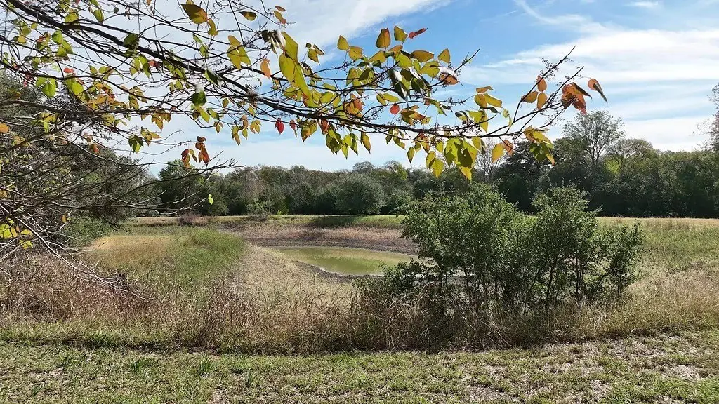 Picture 27