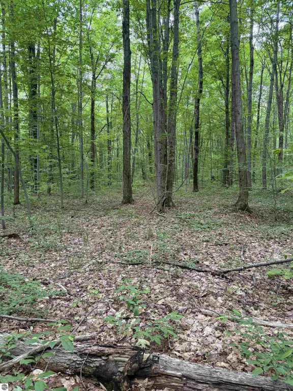 Picture 7