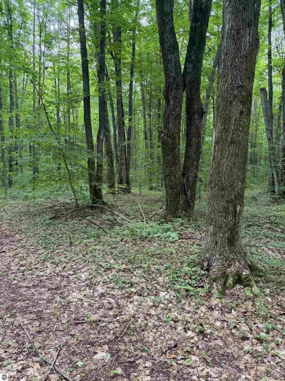 Picture 21