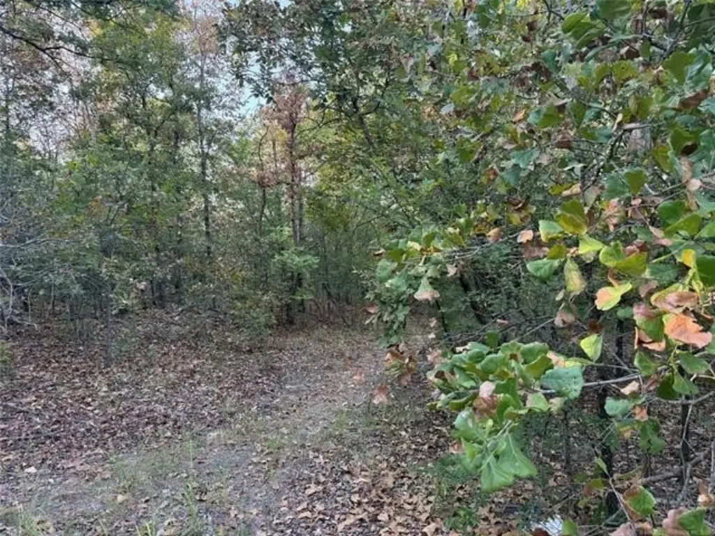 Picture 5