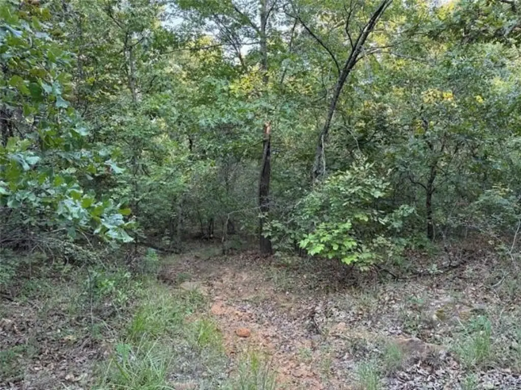Picture 2