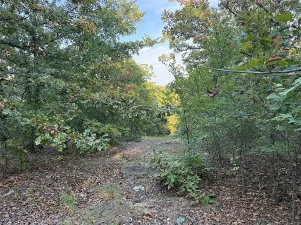 Picture 10