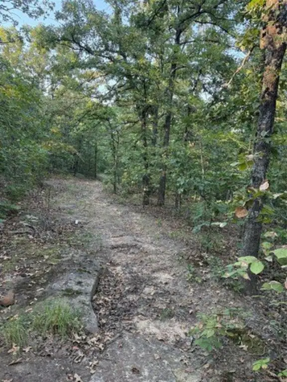 Picture 11
