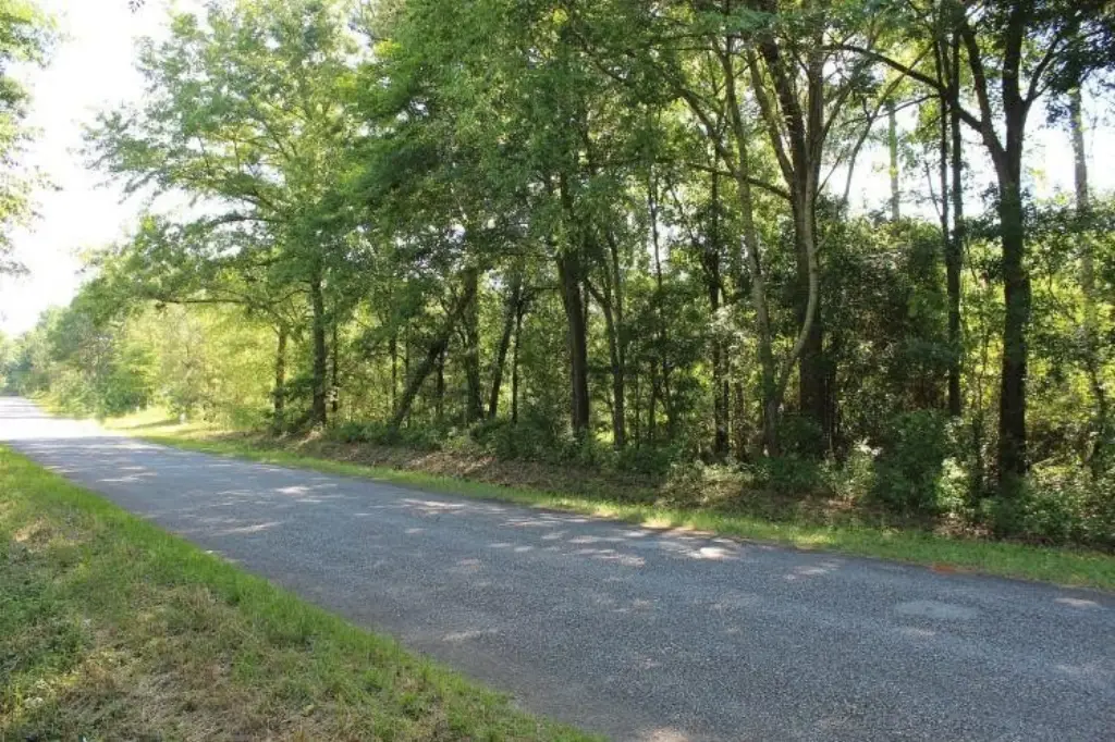 Picture 10