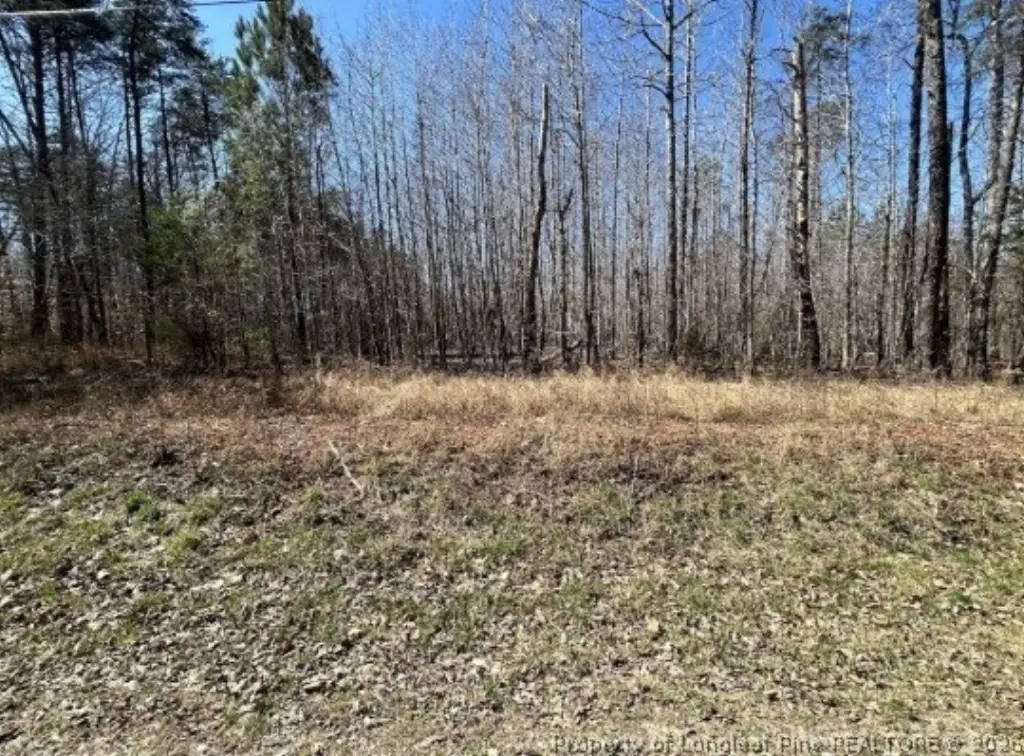 Picture 14
