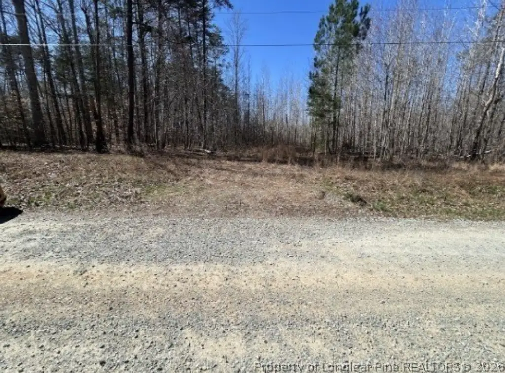 Picture 16