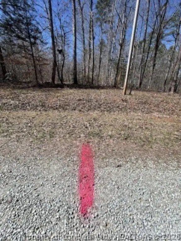 Picture 7