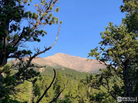 Allenspark Mountain Land Opportunity