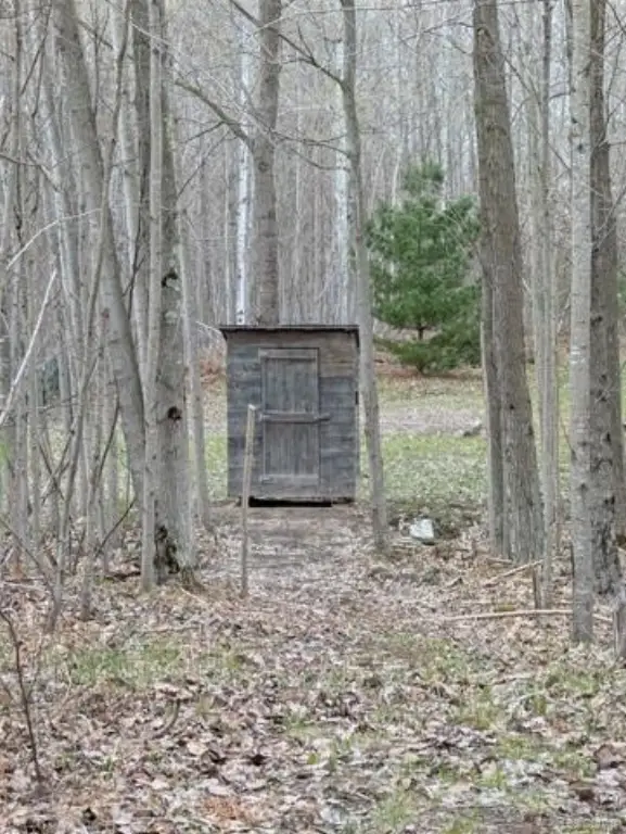 Picture 27