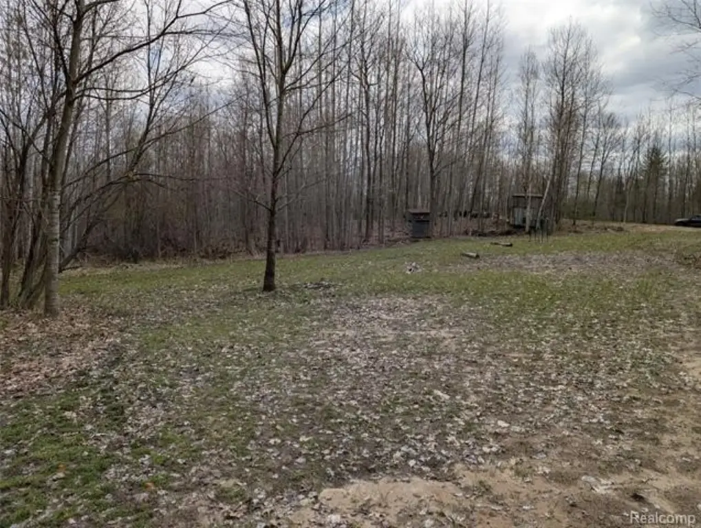 Picture 14