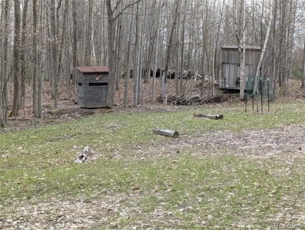 Picture 15
