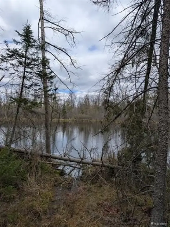 Picture 33