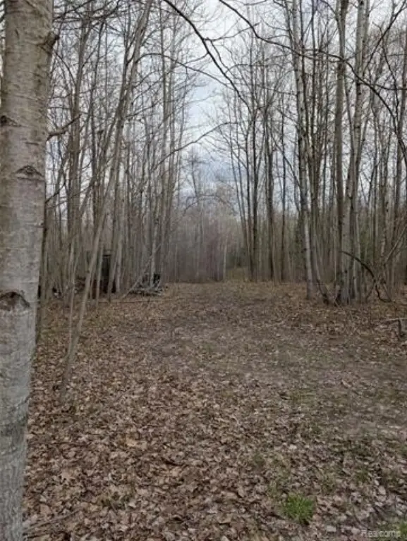 Picture 28