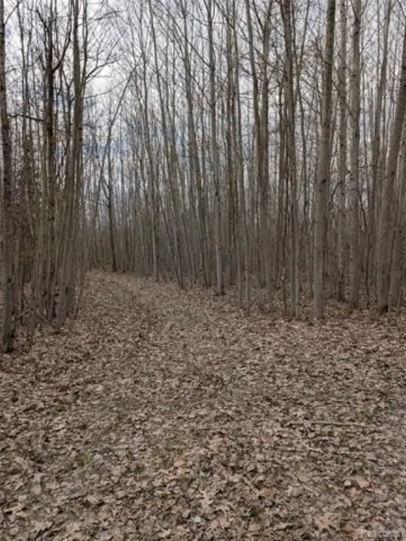 Picture 18