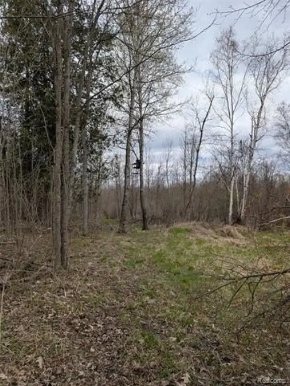 Picture 24
