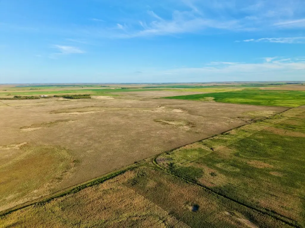 Picture 3