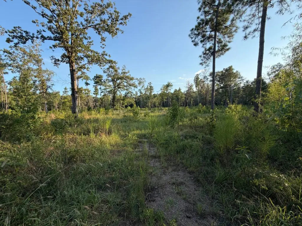 Picture 25