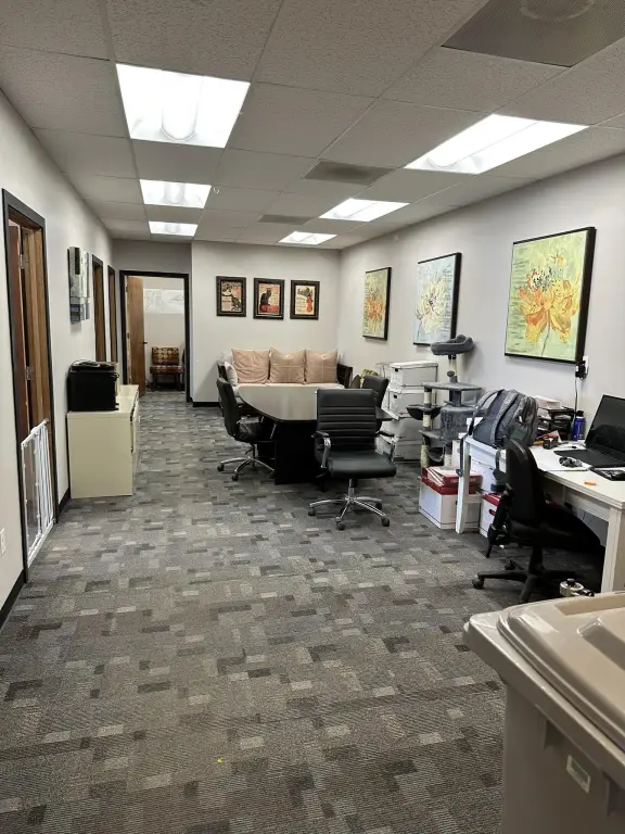 Picture 17