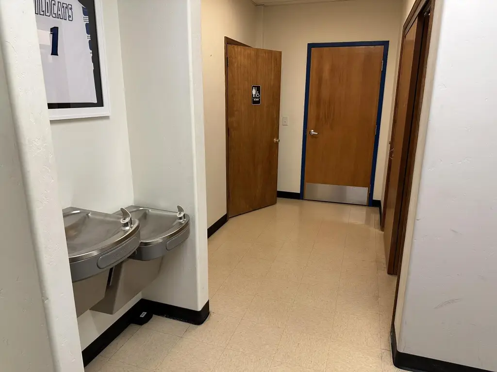 Picture 16