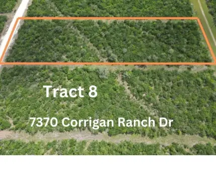 Skidmore Land Tract For Sale