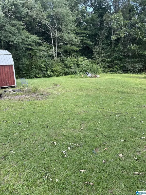 Picture 4