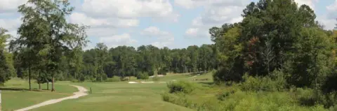 Golf Course View Homesite