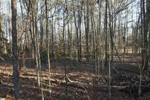 Unrestricted Wooded Land in Laurens