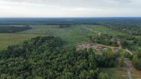 Cleared Acreage Tract