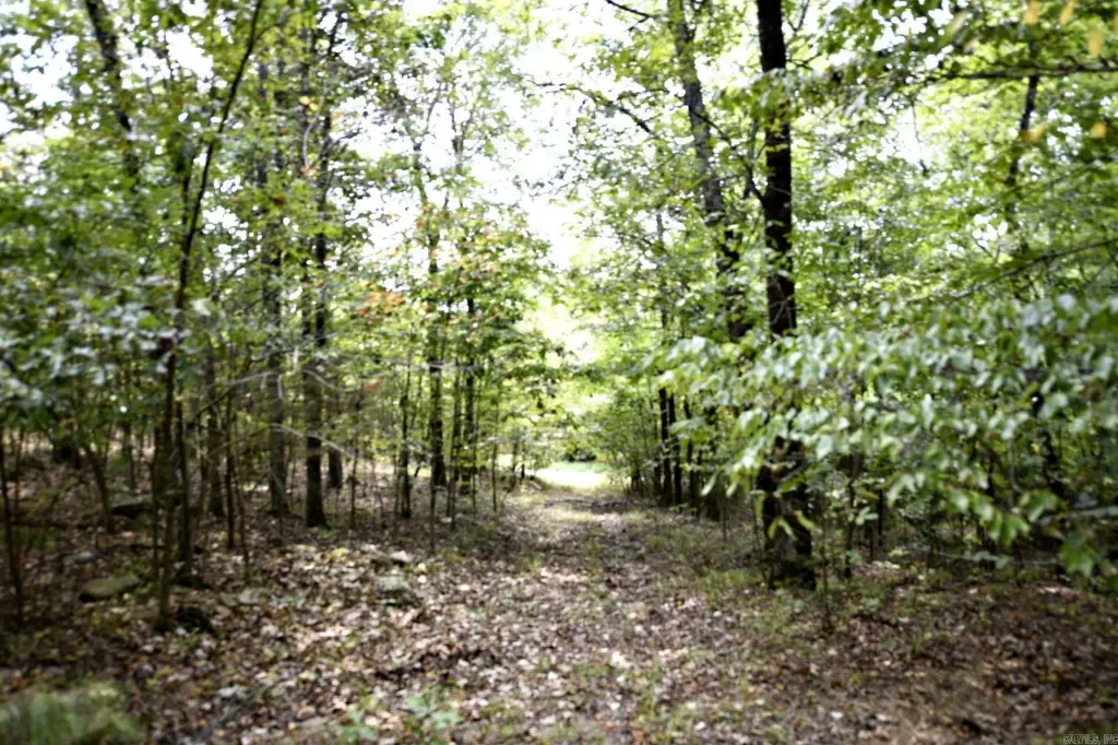 Picture 22