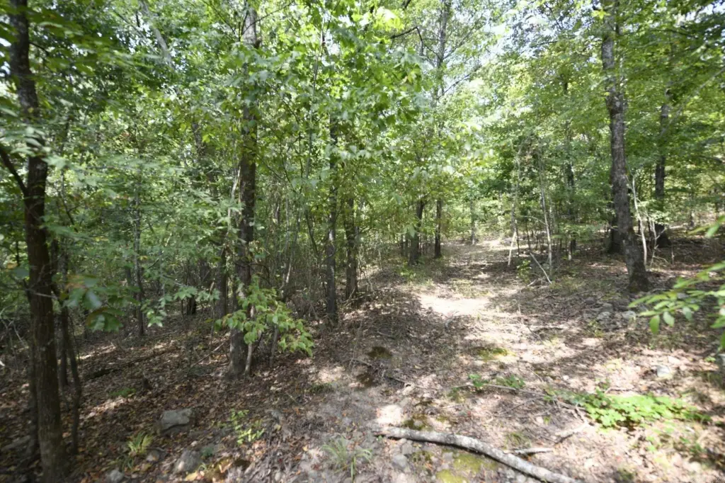 Picture 13