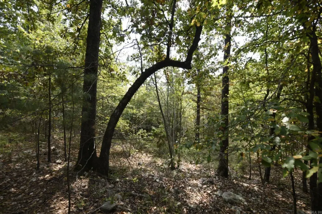 Picture 19