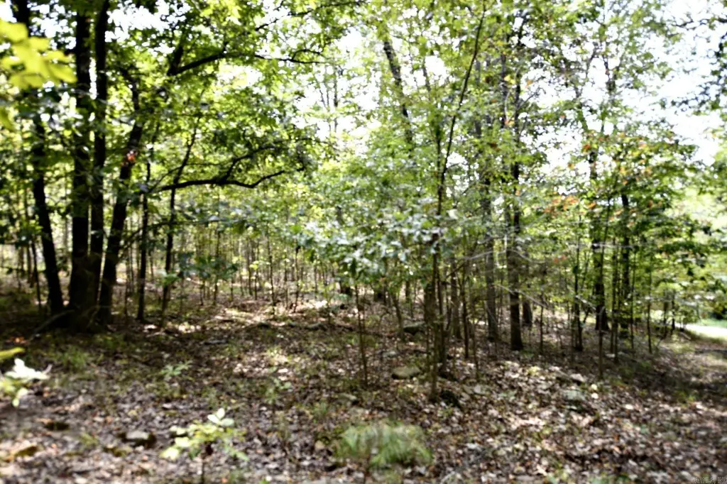 Picture 21