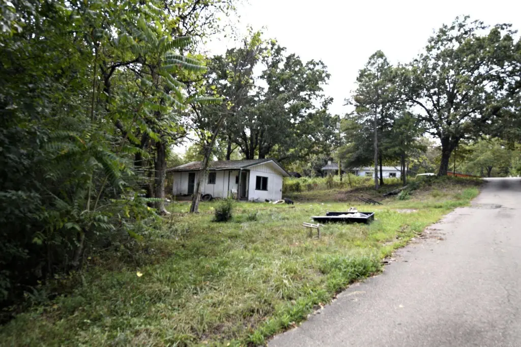 Picture 23