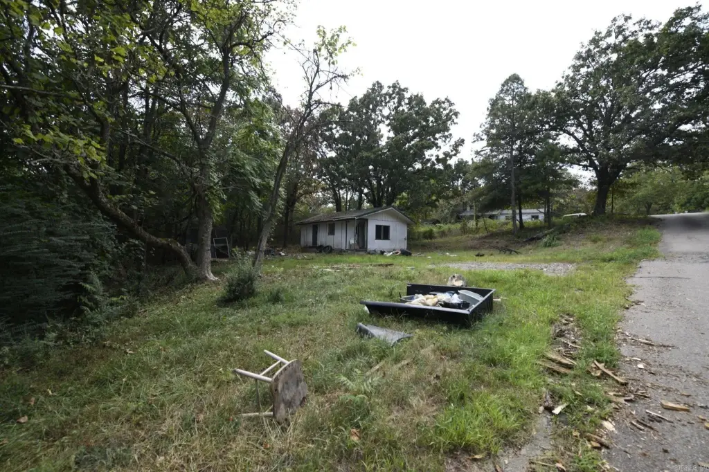 Picture 25