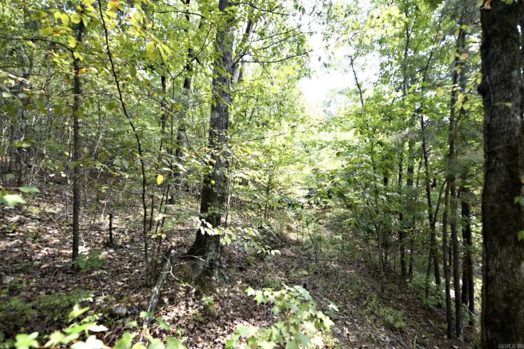 Picture 18