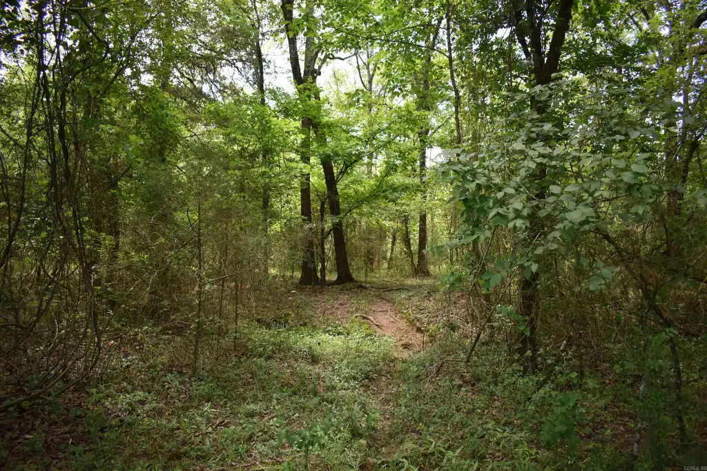 Picture 30