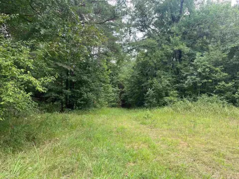 Pine Timber Hunting Land