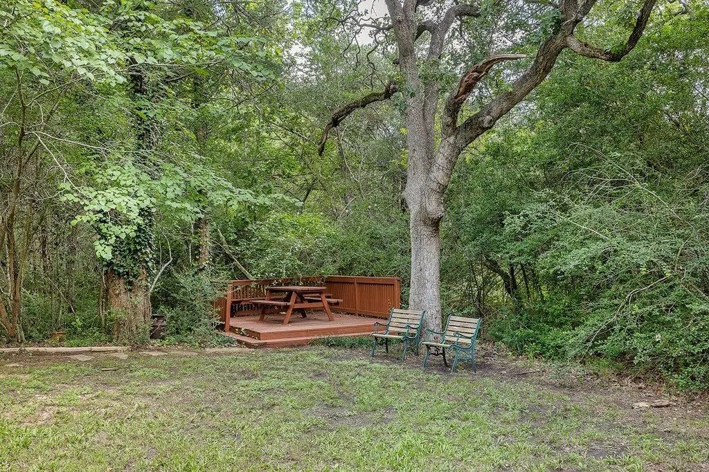 Picture 23