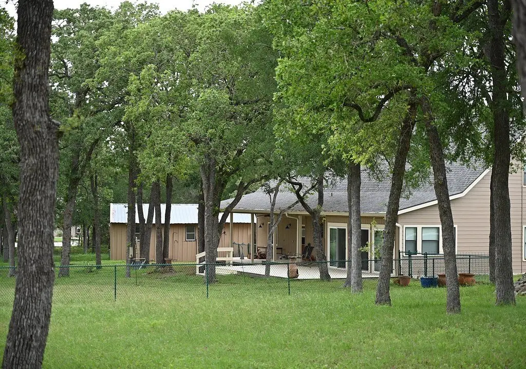 Picture 4