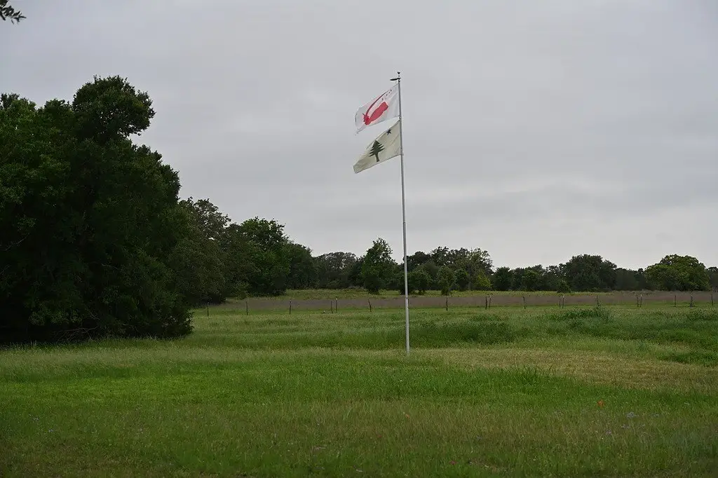 Picture 11