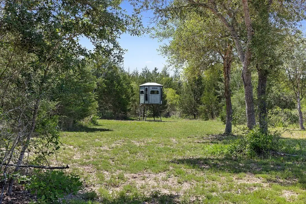 Picture 4