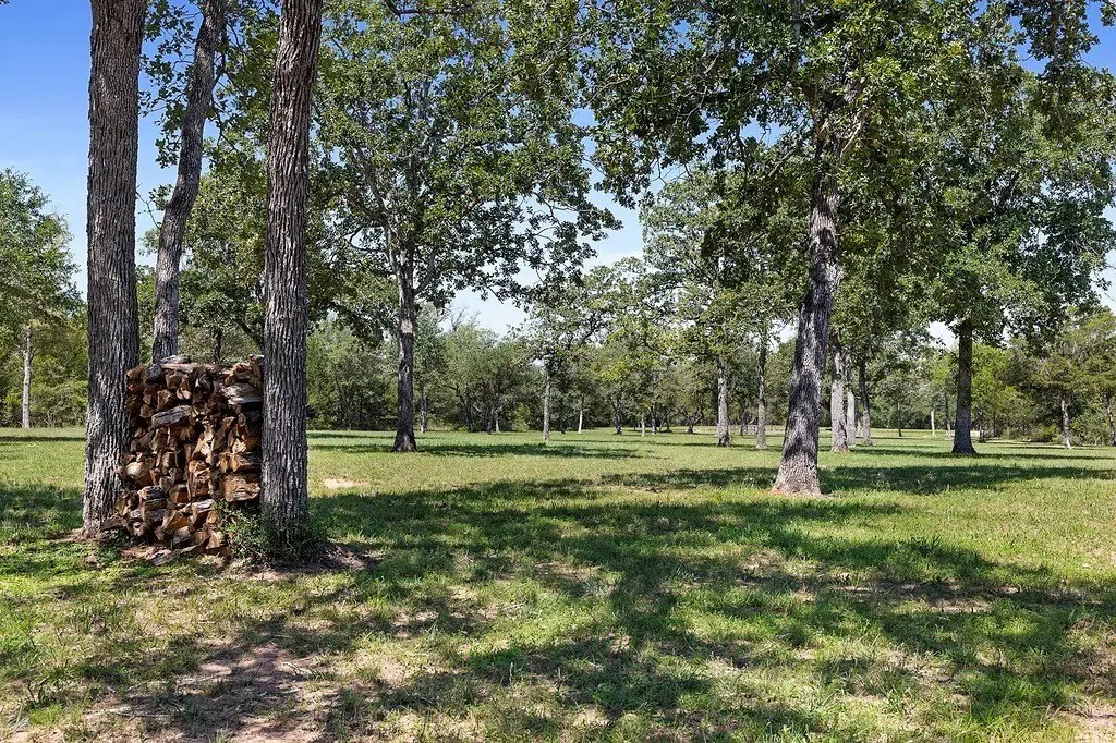 Picture 24