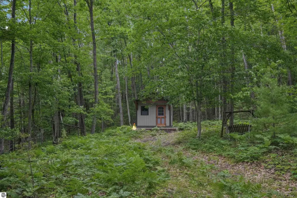 Picture 8