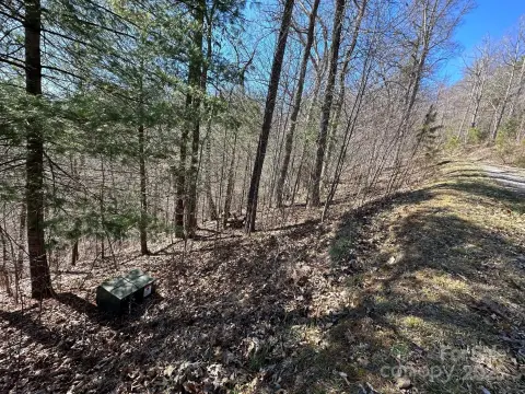 Land with Mountain Views