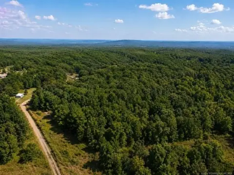Wooded Hunting Land