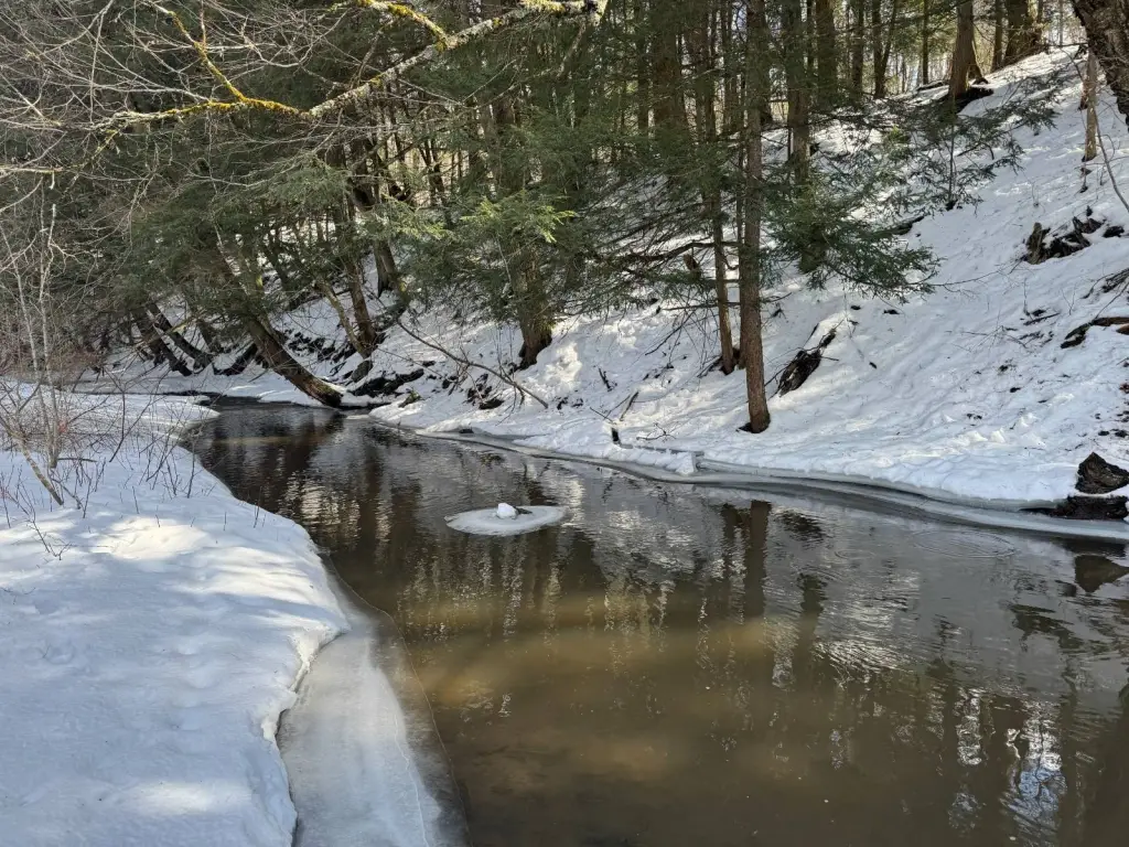 Picture 14