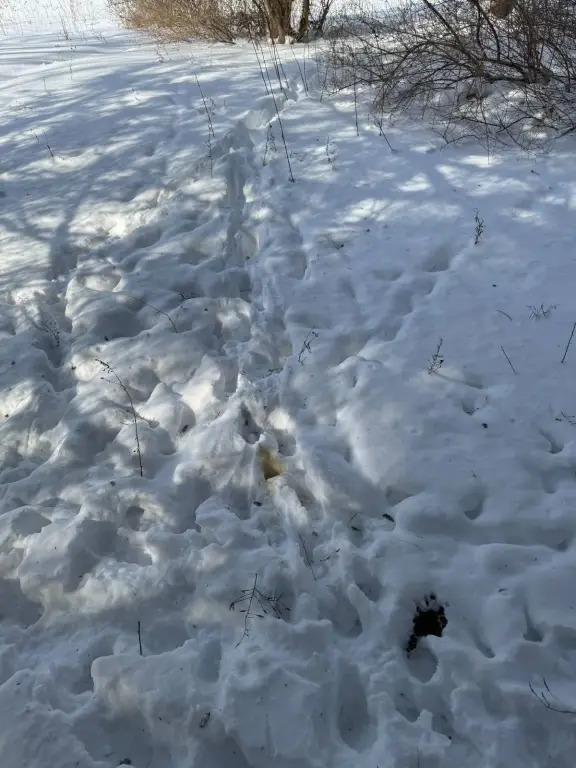 Picture 16