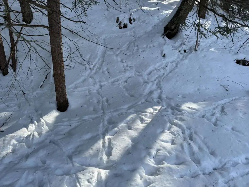 Picture 15